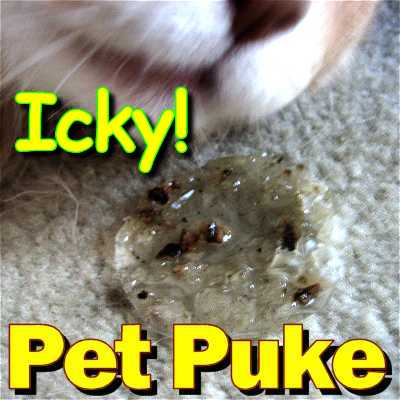 cat puke.jpg