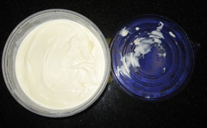 finished%20ice%20cream%20in%20storage%20container.jpg