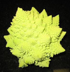 romanesco%20cauliflower.jpg