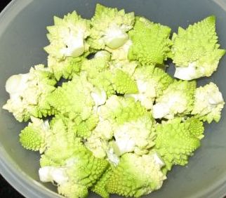 romanesco%20florets.jpg